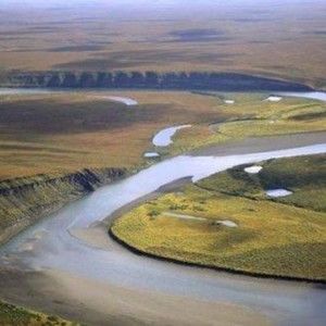 Meet your Posher, Jeffrey